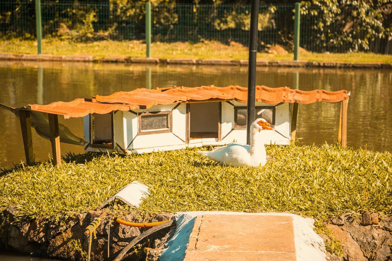 Pousada Janela Do Vale ノーヴァ・ペトローポリス エクステリア 写真